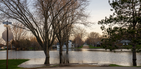 Flood_fall_new_1