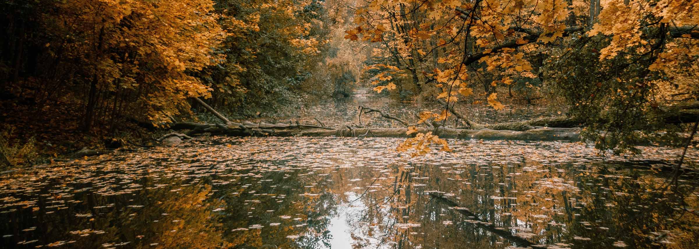 featured-flood_fall_new